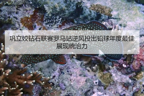 gong-li-jiao-zuan-shi-lian-sai-luo-ma-zhan-ni-feng-tou-chu-qian-qiu-nian-du-zui-jia-zhan-xian-tong-zhi-li-3-153.jpg