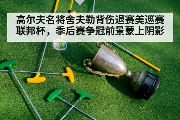 高尔夫名将舍夫勒背伤退赛美巡赛联邦杯，季后赛争冠前景蒙上阴影